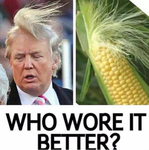trump-vs-corn-who-wore-it-better-meme.jpg